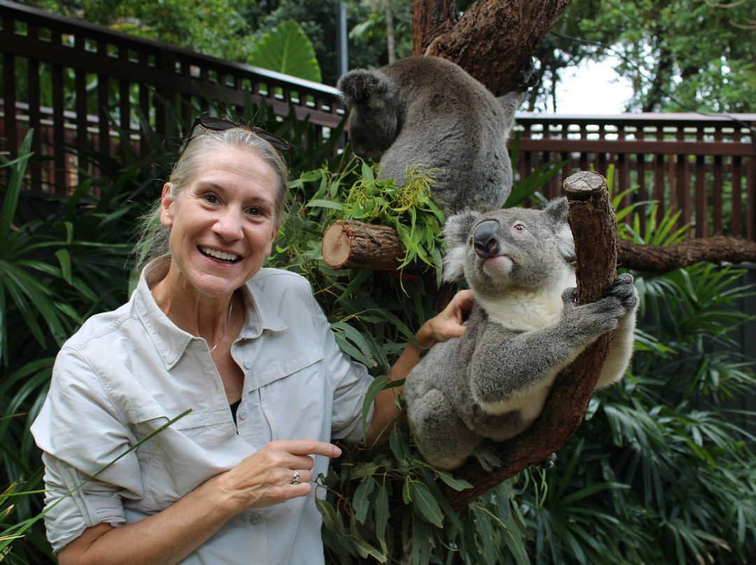 汉密尔顿岛野生动物世界-汉密尔顿岛必去景点