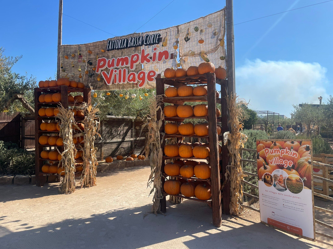 Fattoria Bassa Corte-Ribera必去景点