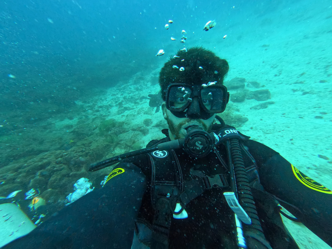 Go Galápagos Tours-Baltra必去景点