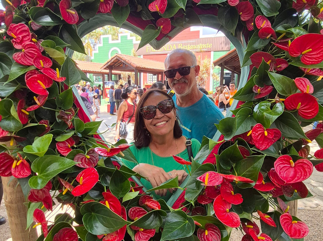 ExpoFlora-Holambra必去景点