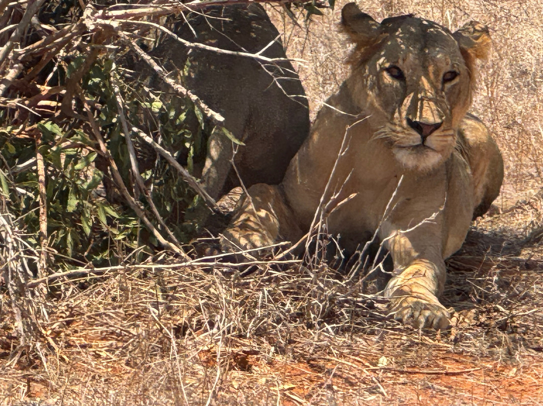 Beppe Watamu-瓦塔木必去景点