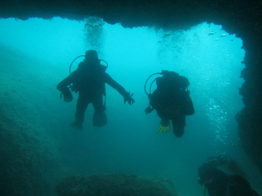 Mardays Dive & Water Experience-哈韦阿必去景点