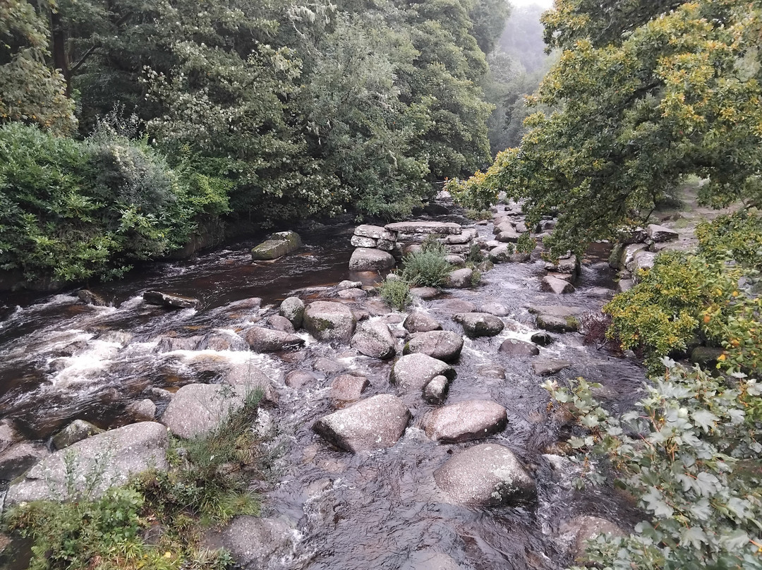 Dartmeet River Junction-Dartmeet必去景点