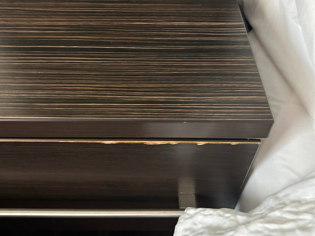 普林斯顿假日酒店主图