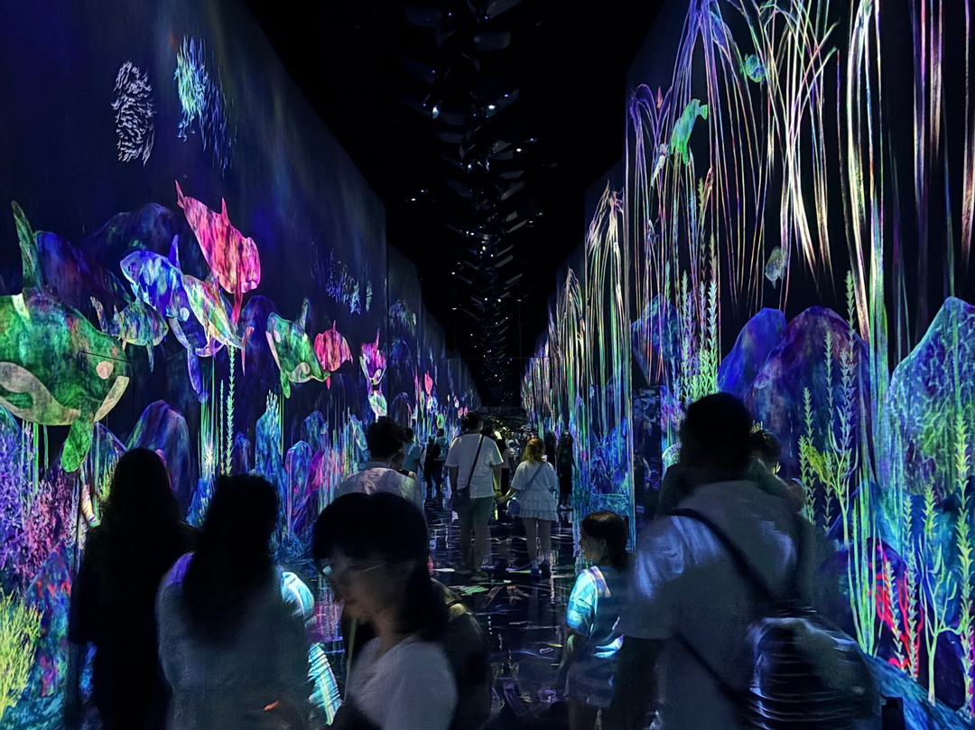 teamLab Planets TOKYO-Toyosu必去景点