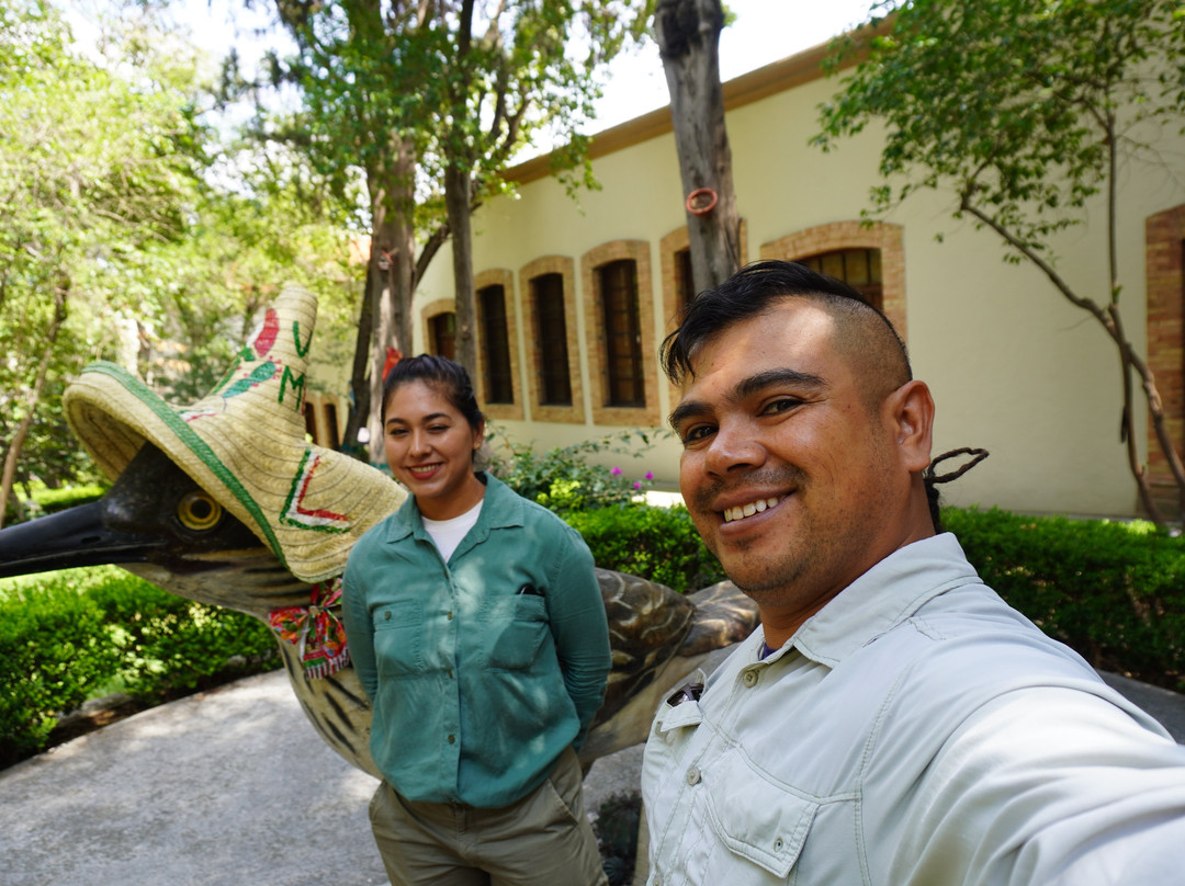 Museo de las Aves-萨尔蒂必去景点