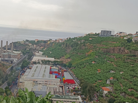 Bar Pe De Cabra-沙尔必去景点