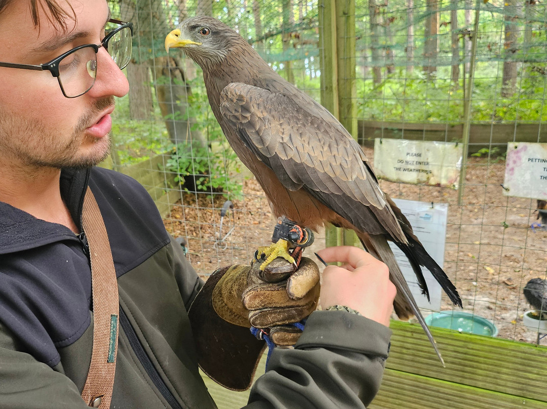 East Sussex Falconry-Herstmonceux必去景点