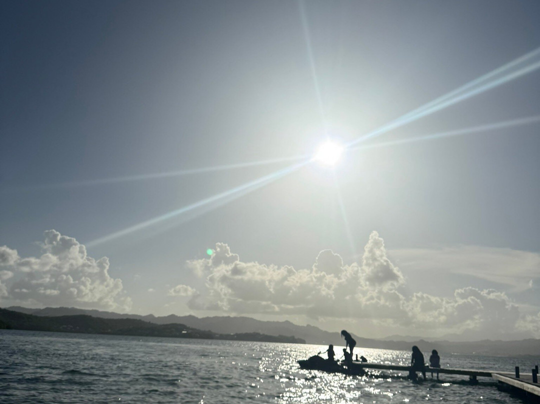 Matt'Excursions Nautiques-Le Francois必去景点