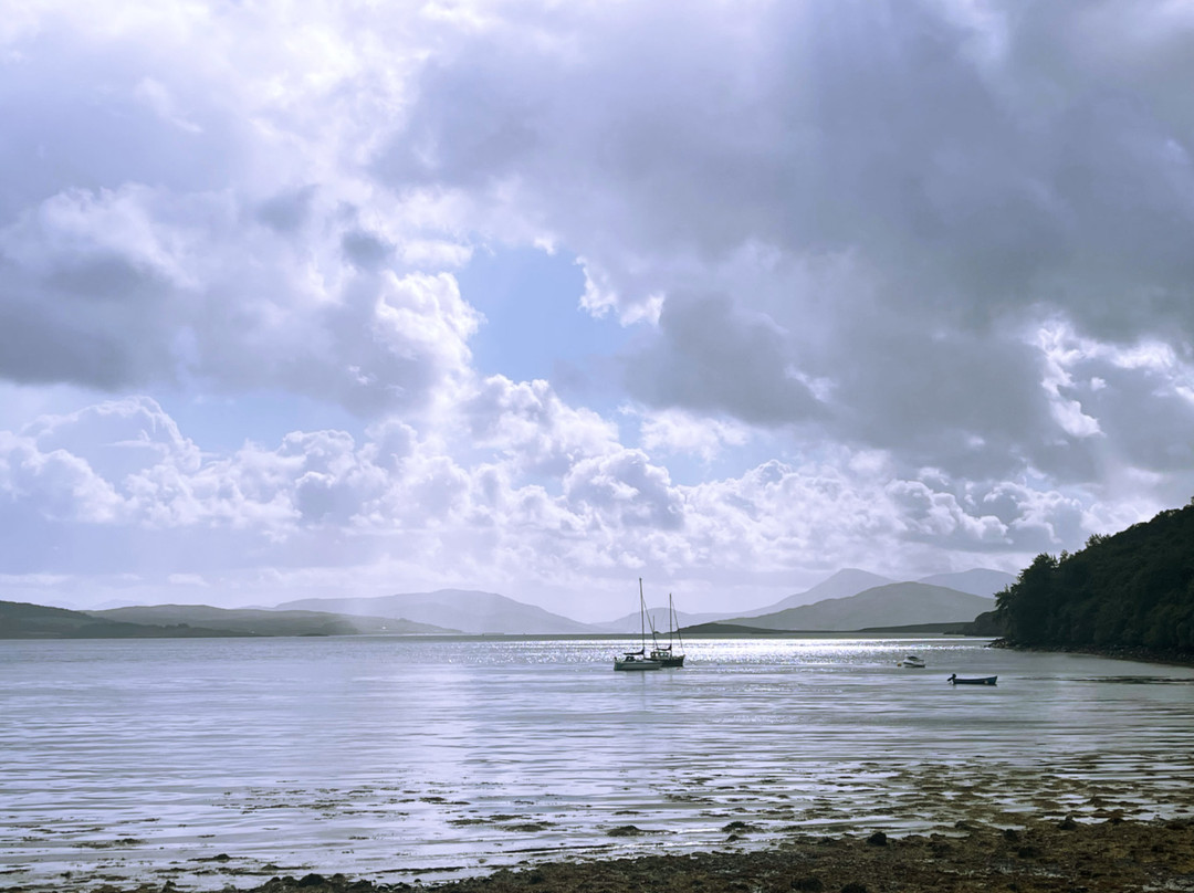 Isle of Skye Wildlife Tours -Tours-Portree必去景点