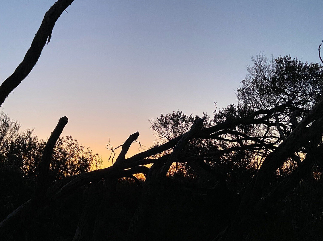 French Island National Park-French Island必去景点