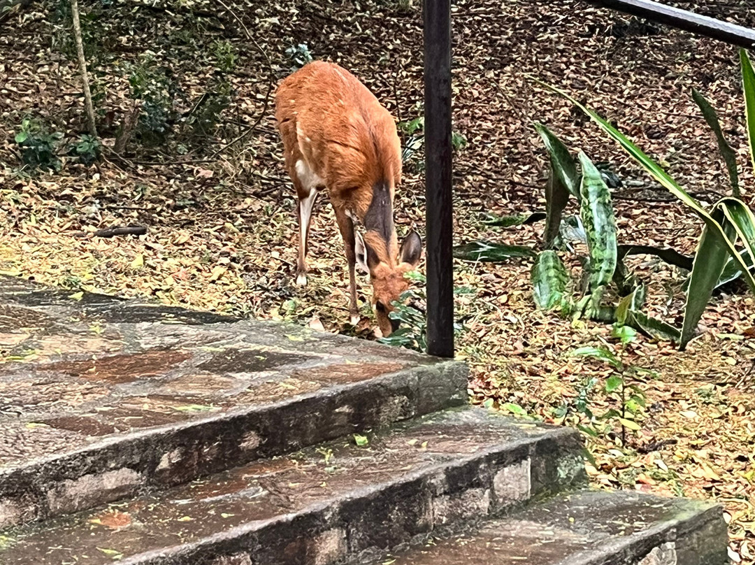 Travelcare Limited-内罗毕必去景点