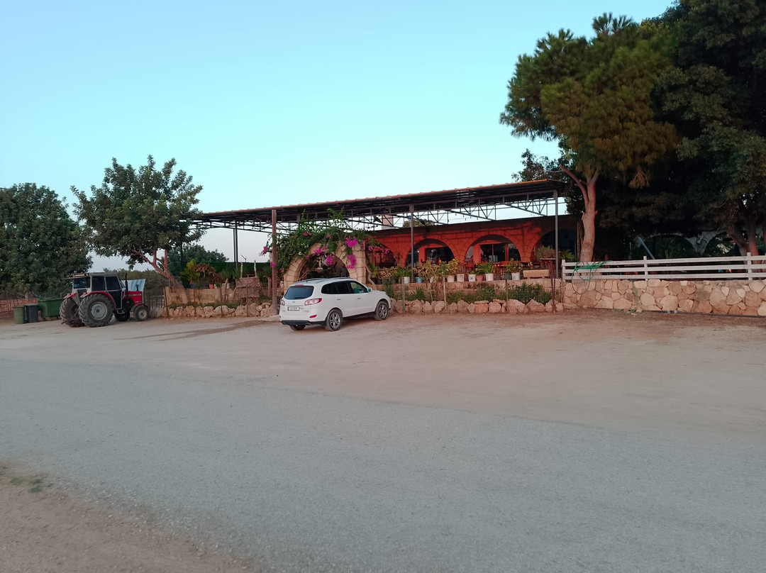 Dipkarpaz酒店住宿-Elausa Hotel & Restaurant