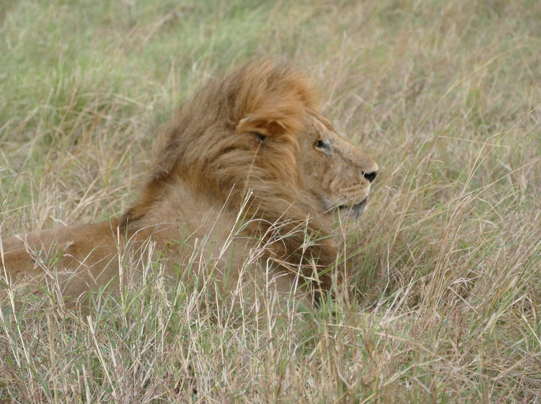 PK Adventure-乞力马扎罗山国家公园必去景点