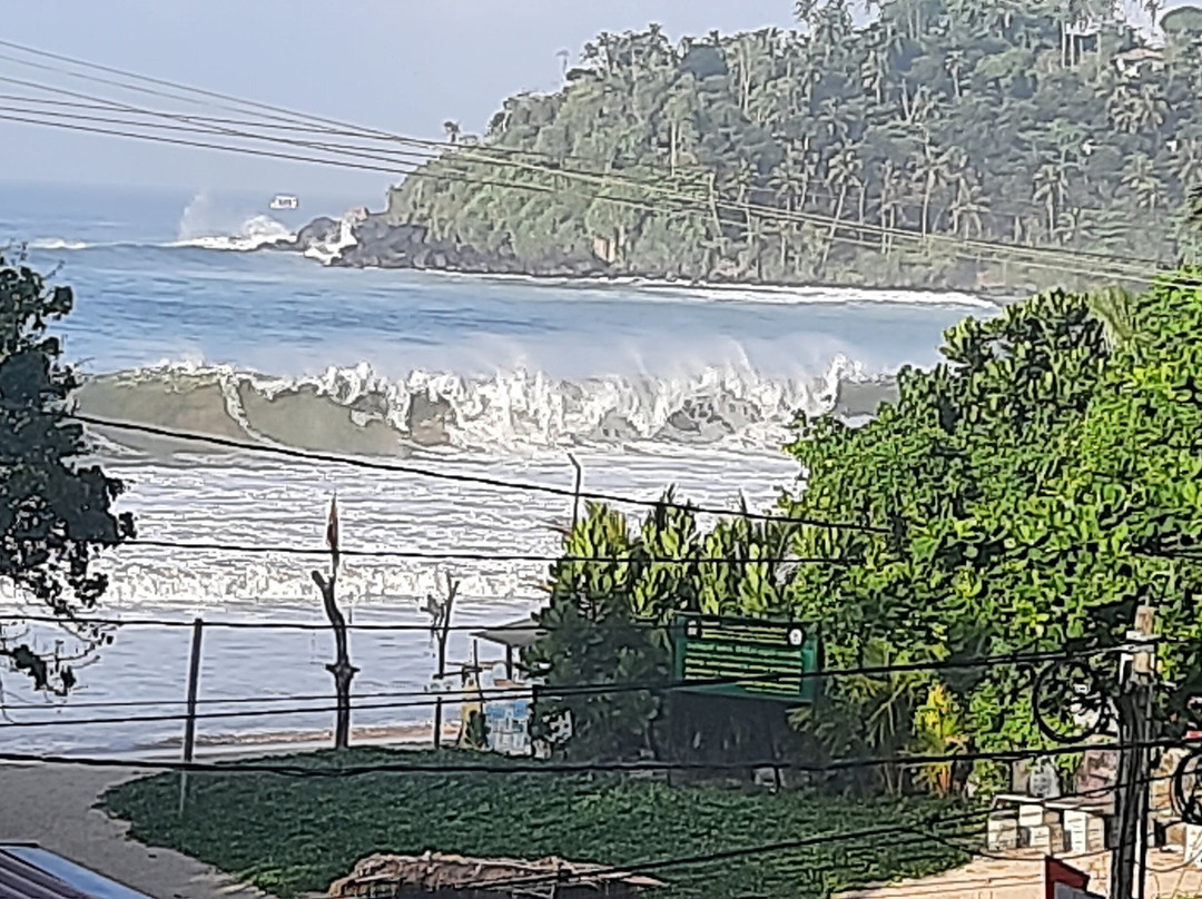 Lanka Travel Bee-尼甘布必去景点