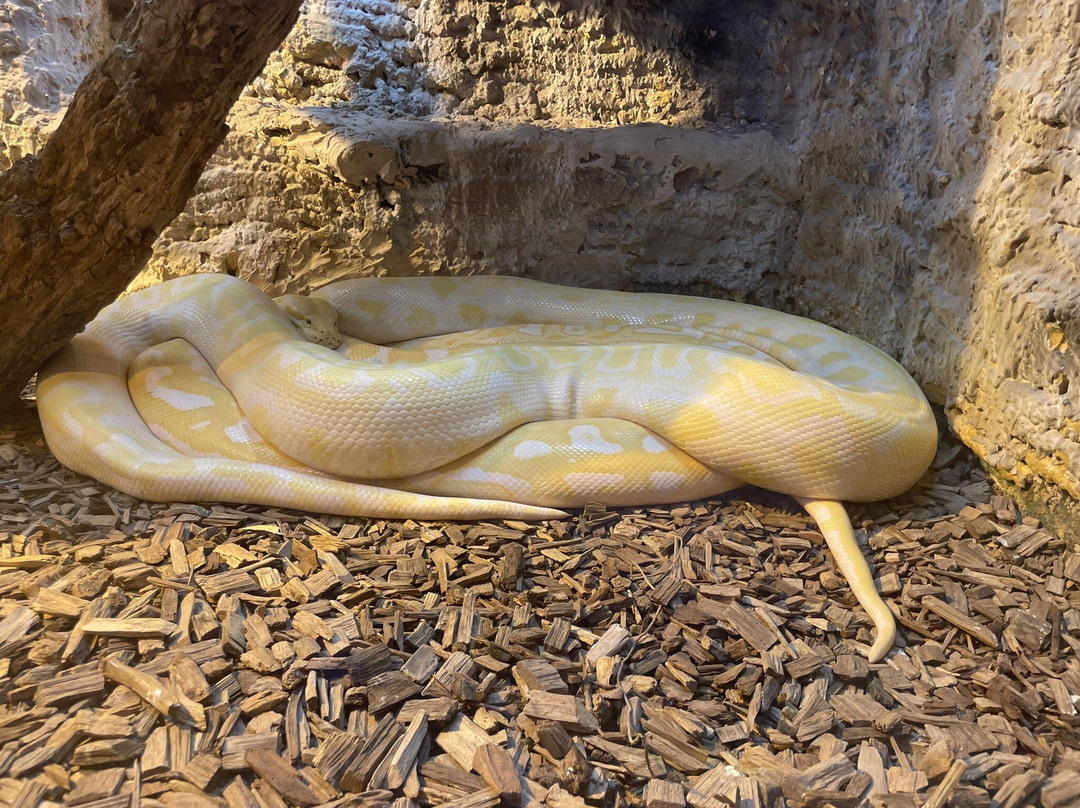 Touroparc Zoo-Romaneche-Thorins必去景点