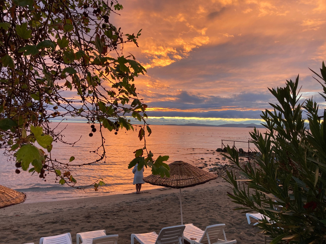 Dogan Paradise Beach Hotel主图