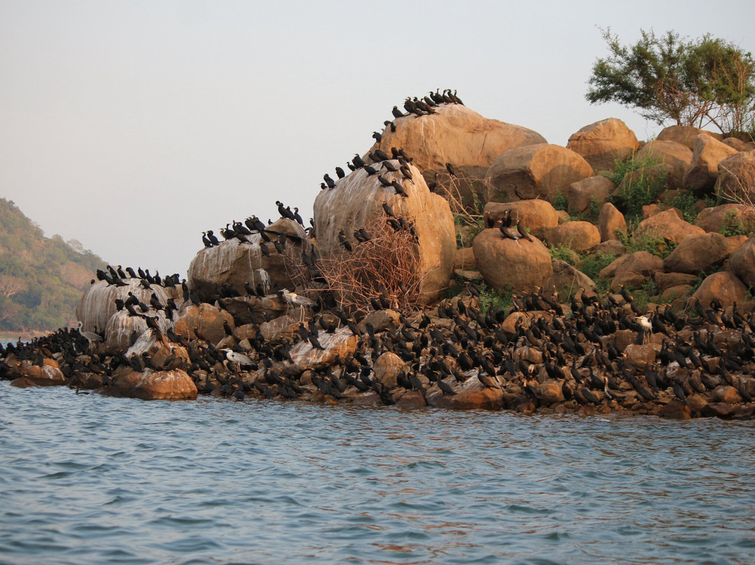 Gal Oya National Park - The Crossing-Ampara必去景点