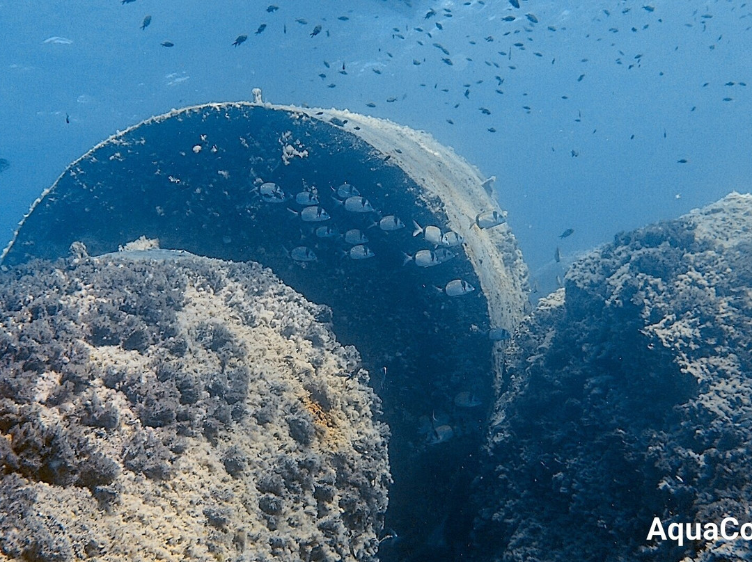 Cala Pada Diving Center Ibiza-圣欧拉利娅尔德里奥必去景点