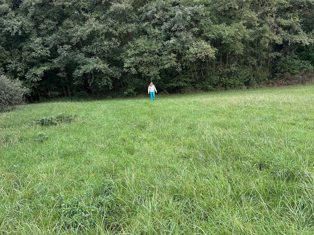 Queichwiesen-Offenbach an der Queich必去景点