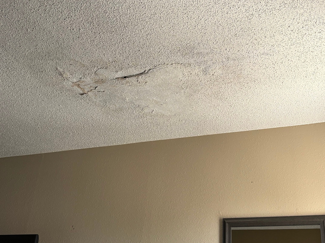 谢尔曼希尔顿恒庭酒店主图