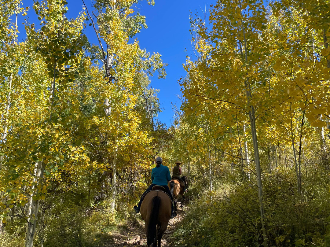 Cloud 9 Trails-Pecos必去景点