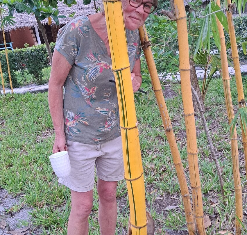 Afro Whale Shark Safari-马菲亚岛必去景点