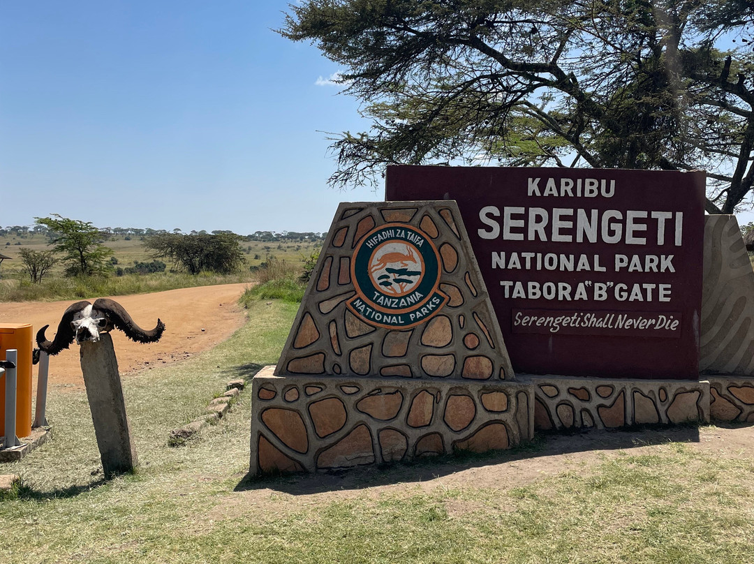 Active Tanzania Adventures-阿鲁沙必去景点