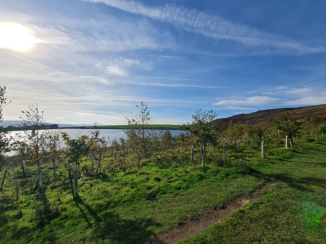 Embsay Moor Reservoir-斯基普顿必去景点