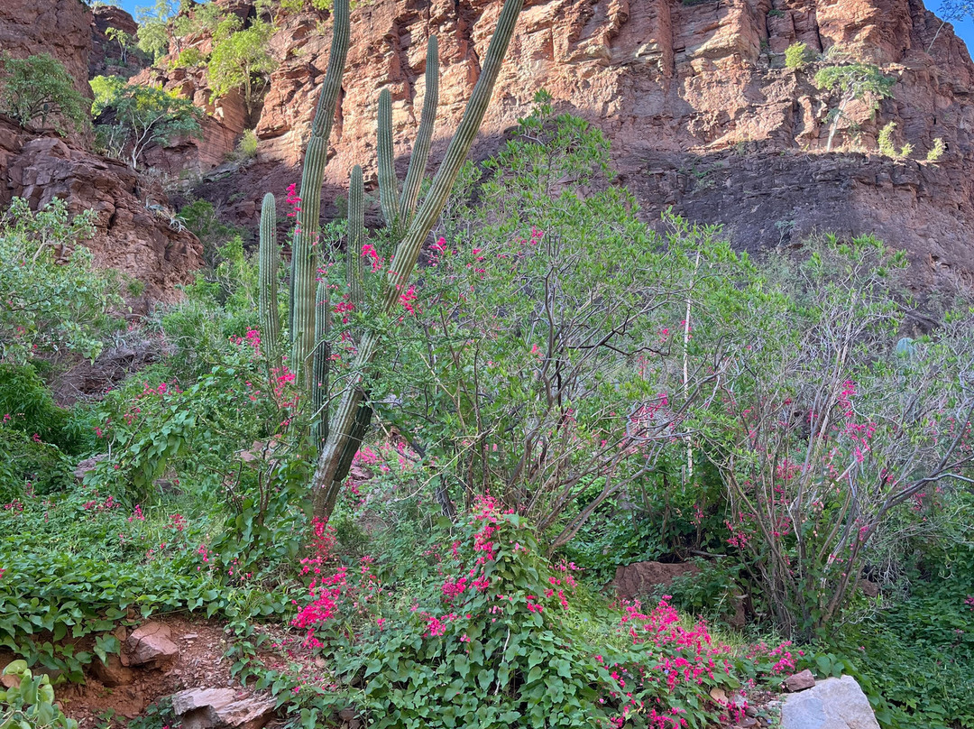 Loreto Guide with Said Orozco-洛雷托必去景点