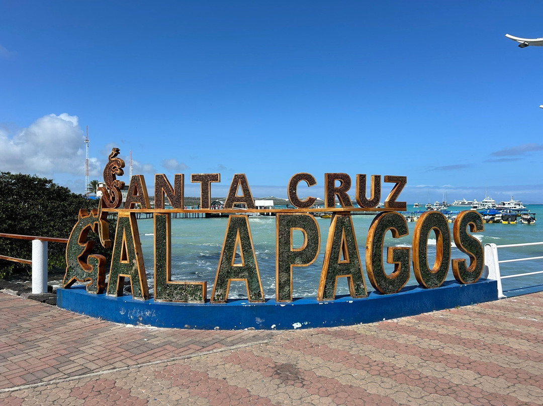 Malecon de Puerto Ayora-阿约拉港必去景点