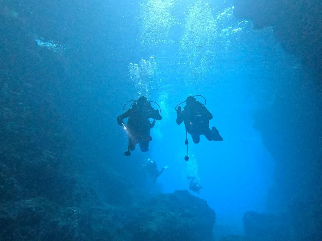 Port D' Andratx-Port d'Andratx必去景点