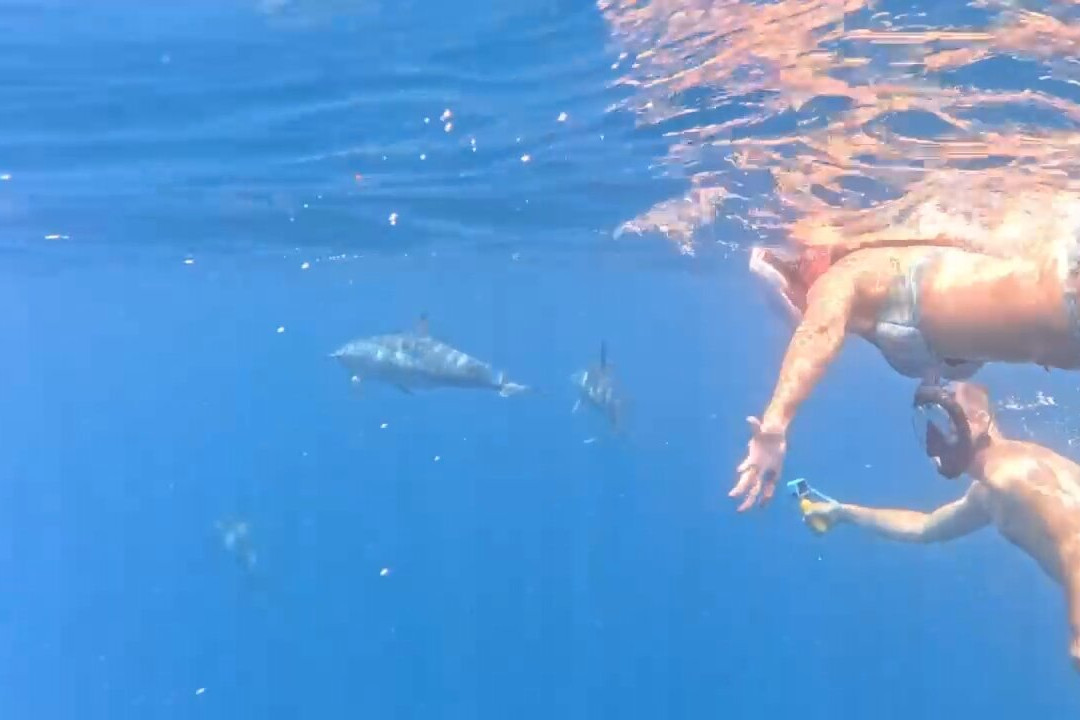 Dream Dolphin-黑河必去景点