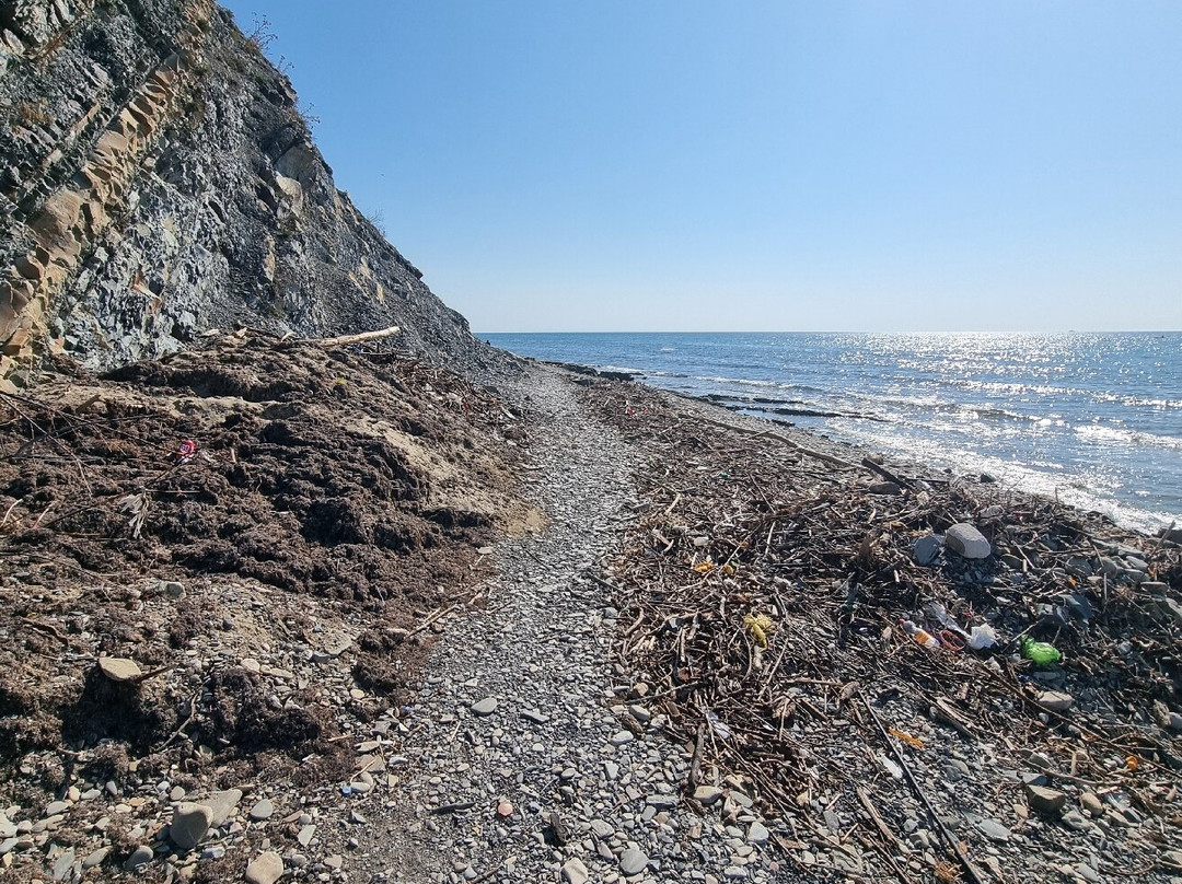 Central Beach-Arkhipo-Osipovka必去景点