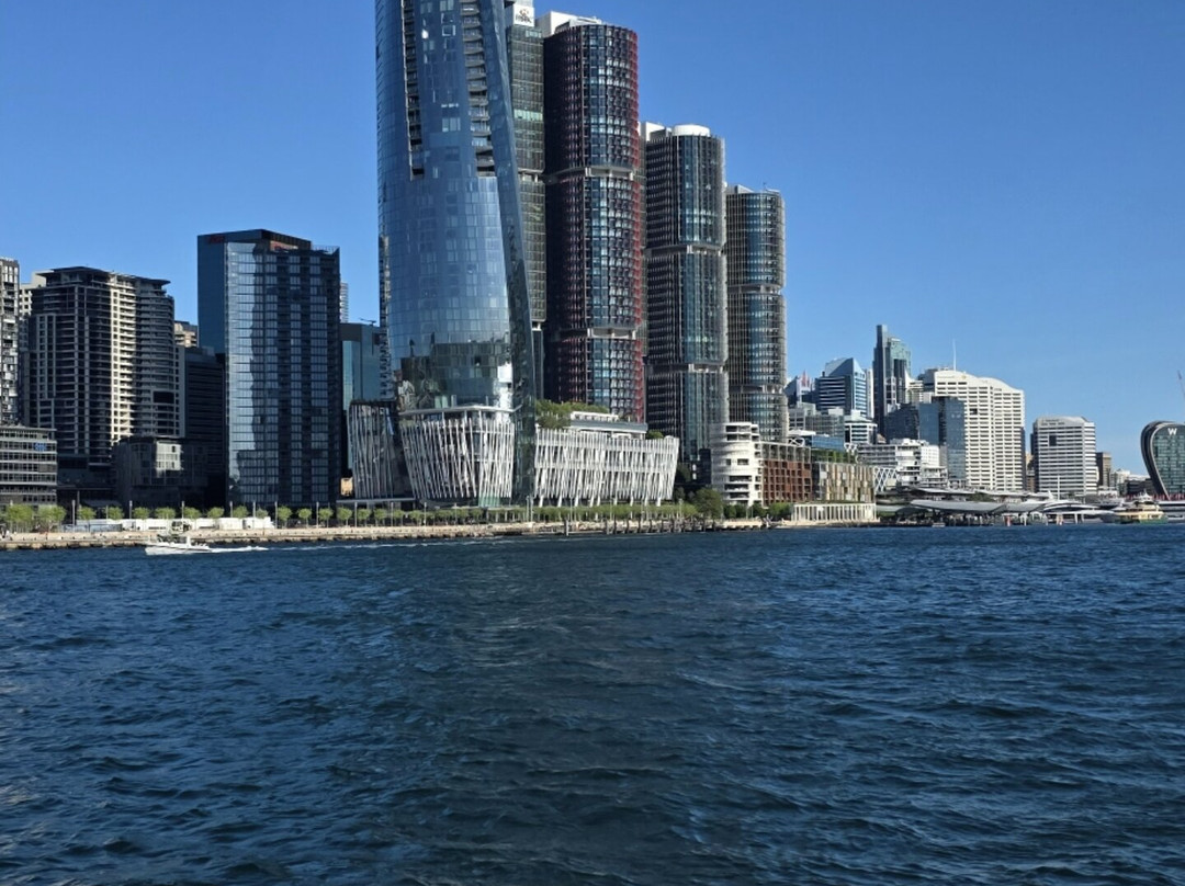 Go Whale Watching Sydney-悉尼必去景点