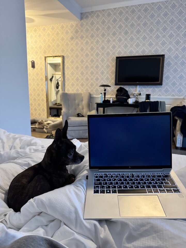 Marienlyst Strandhotel-客卧