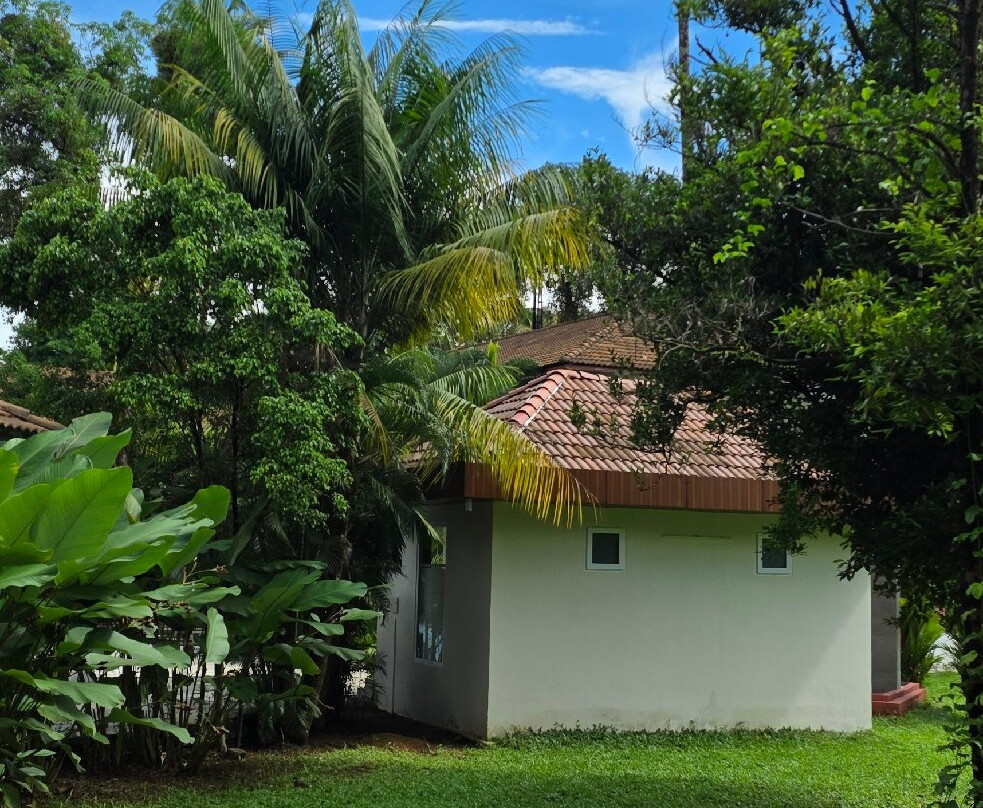 Namami-柯钦必去景点