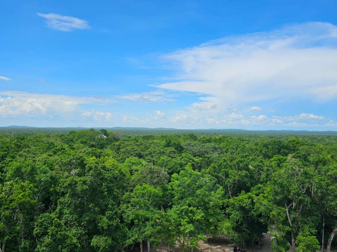 Visit Calakmul-Xpujil Town必去景点