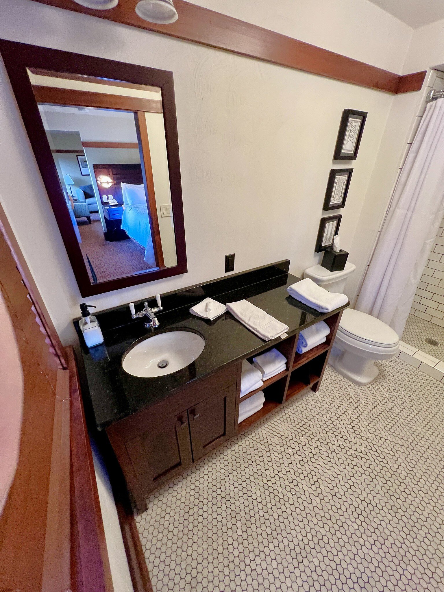 Historic Park Inn-浴室