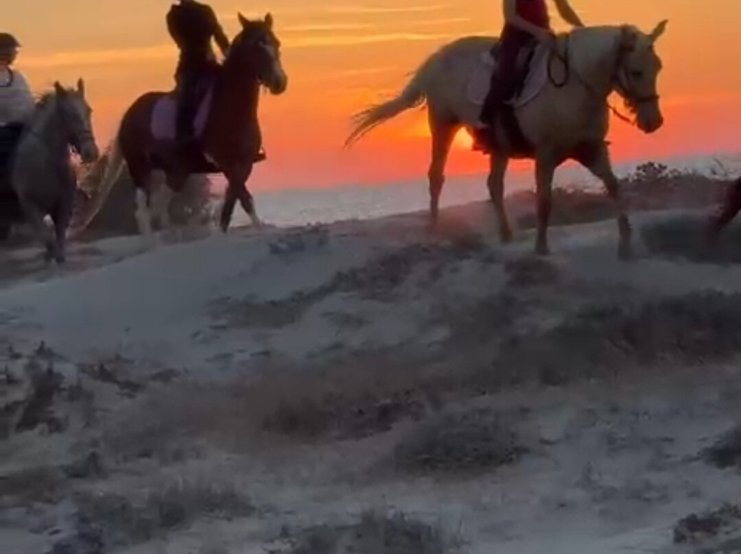 Erika's Horse Farm Kos-Marmari必去景点