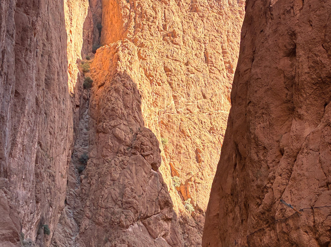 Morocco Gate Tours-非斯必去景点