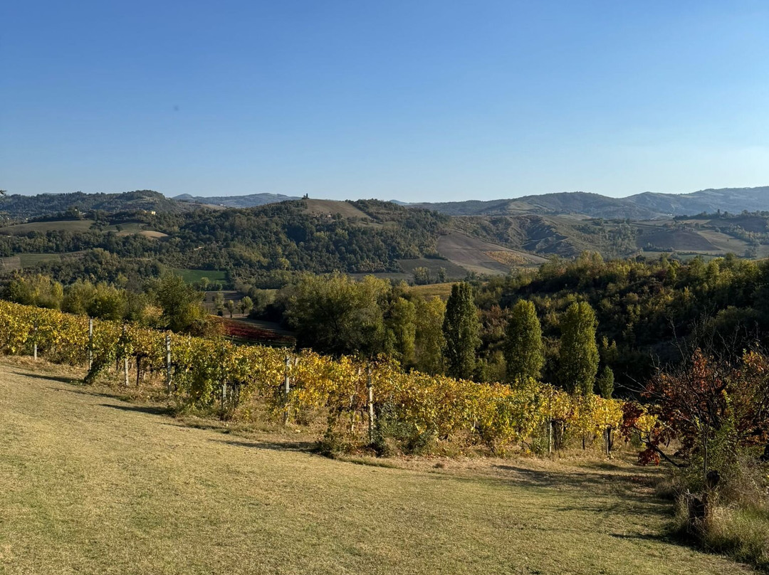 Azienda Agricola Fedrizzi Alessandro-Castello di Serravalle必去景点