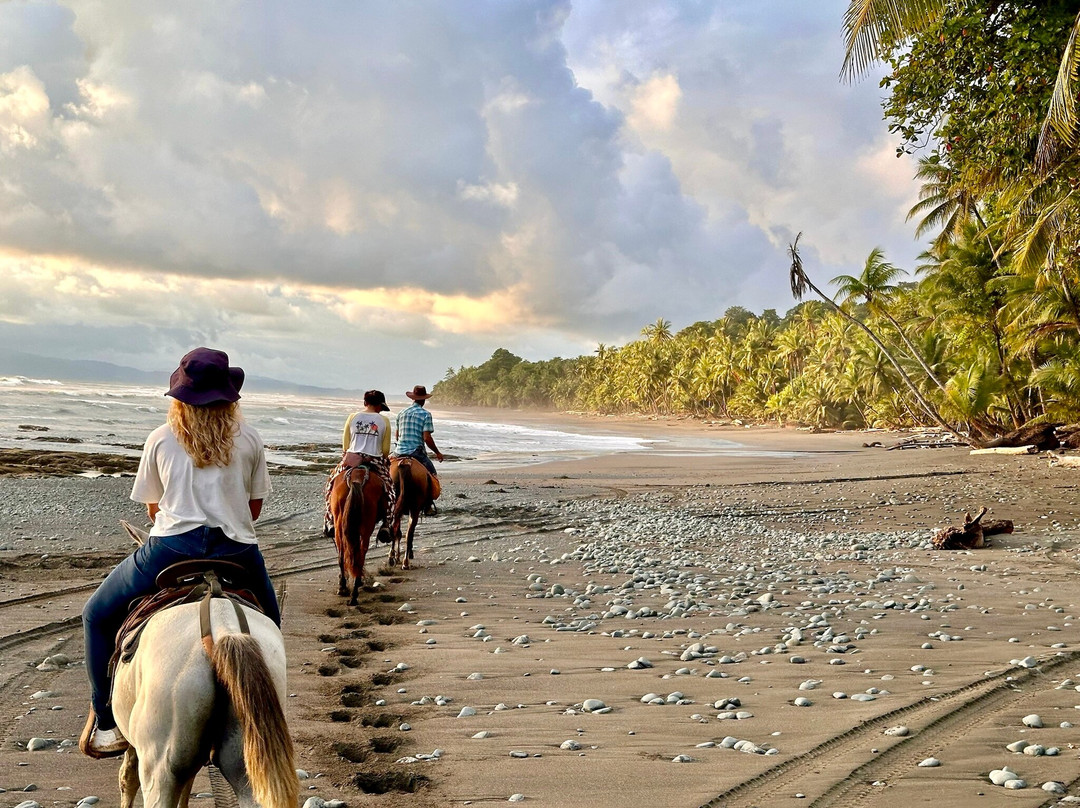 Surf With Amigas - Costa Rica-果菲托必去景点