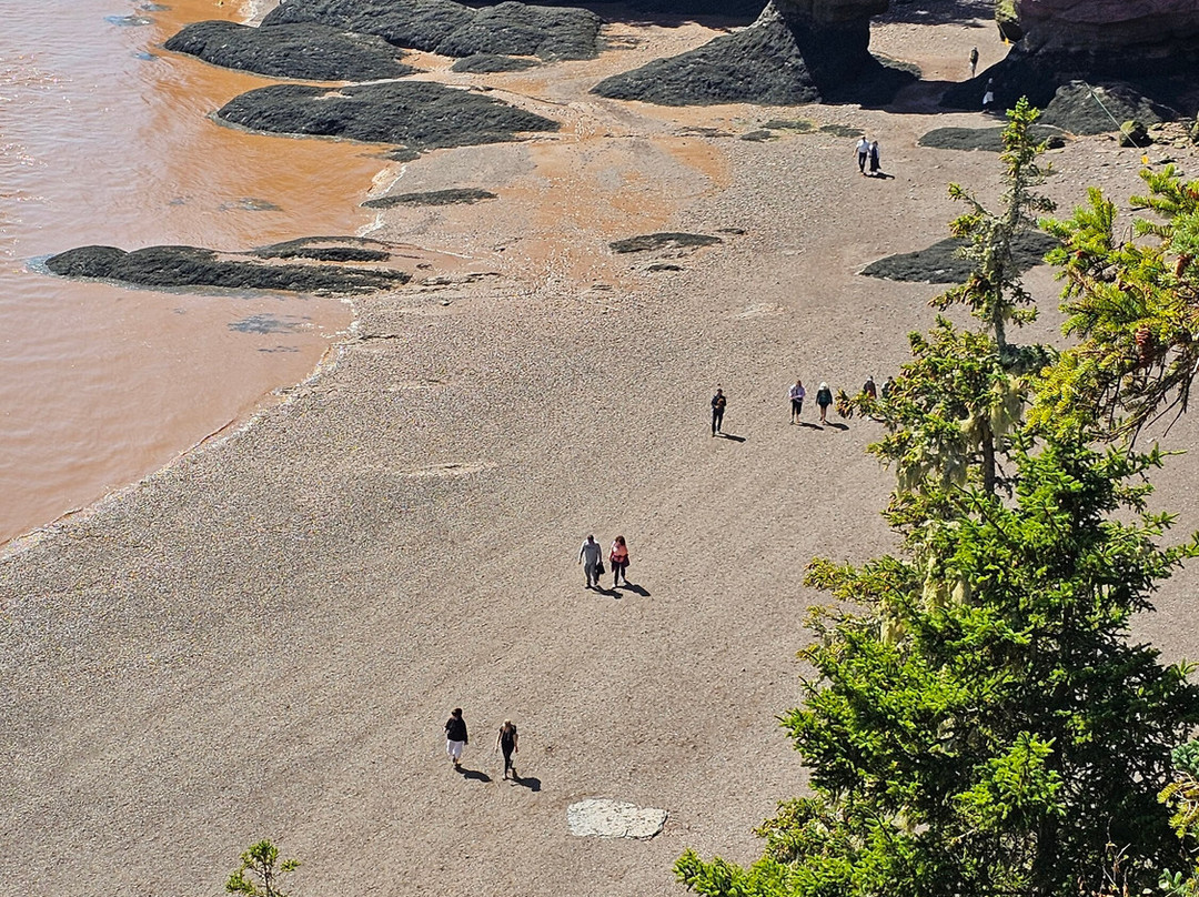 Bay Of Fundy-New Brunswick必去景点