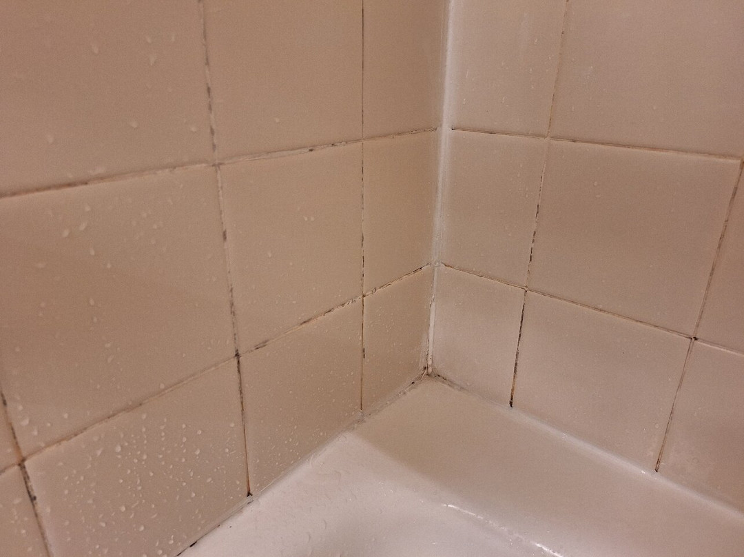 Best Western Plus Caldwell Inn & Suites主图