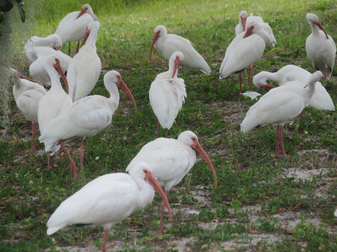 Lake Wailes Park-莱克威尔士必去景点