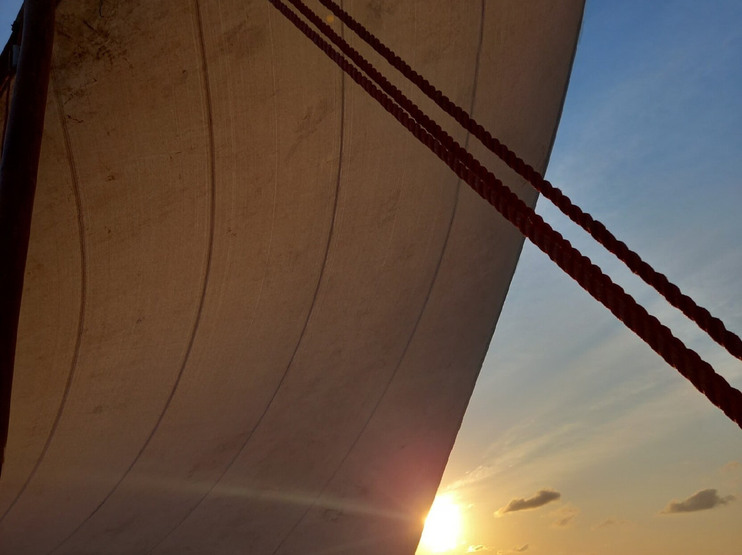 Rhino Africa Safaris-开普敦中心区必去景点