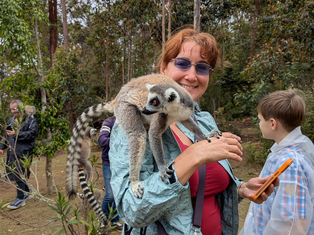 Madagascar Visite Company-安塔那那利佛必去景点
