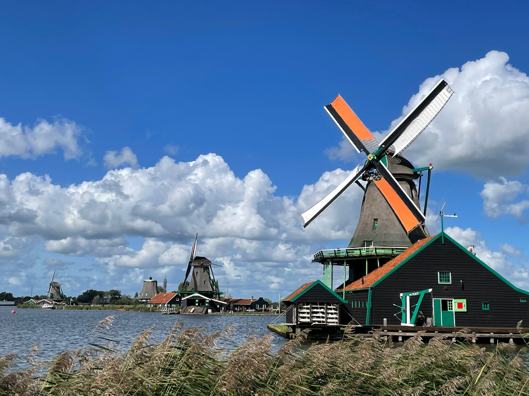 Zaans Museum-赞丹必去景点