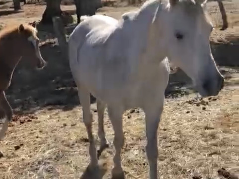 Aprende de Toros-塞维利亚必去景点